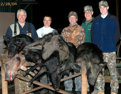BigWoods property and hunting gallery photograph 3