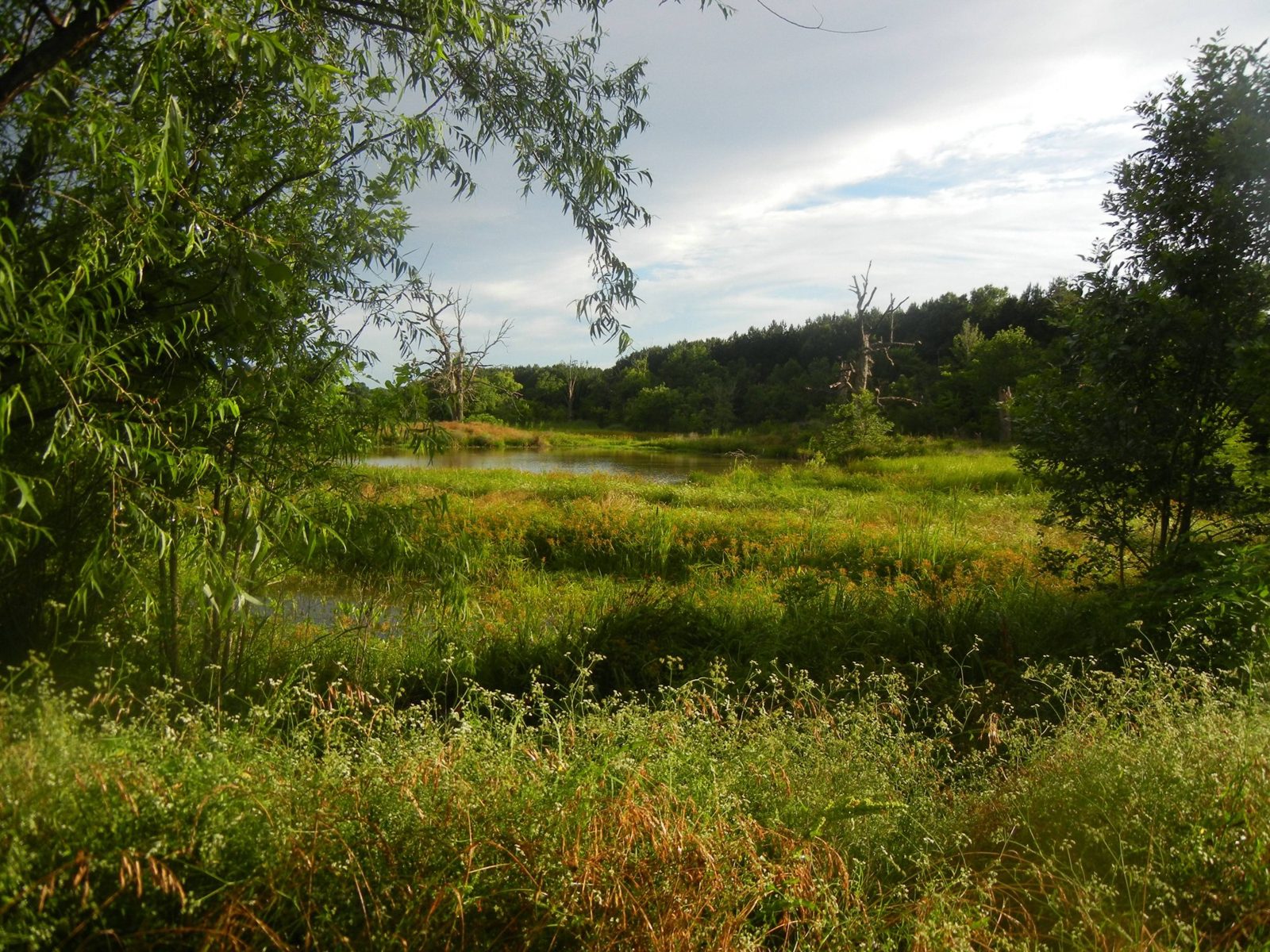BigWoods property and hunting gallery photograph 1