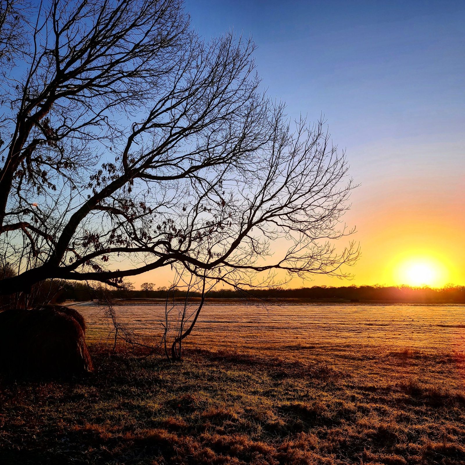 Sunset over the BigWoods hunting grounds