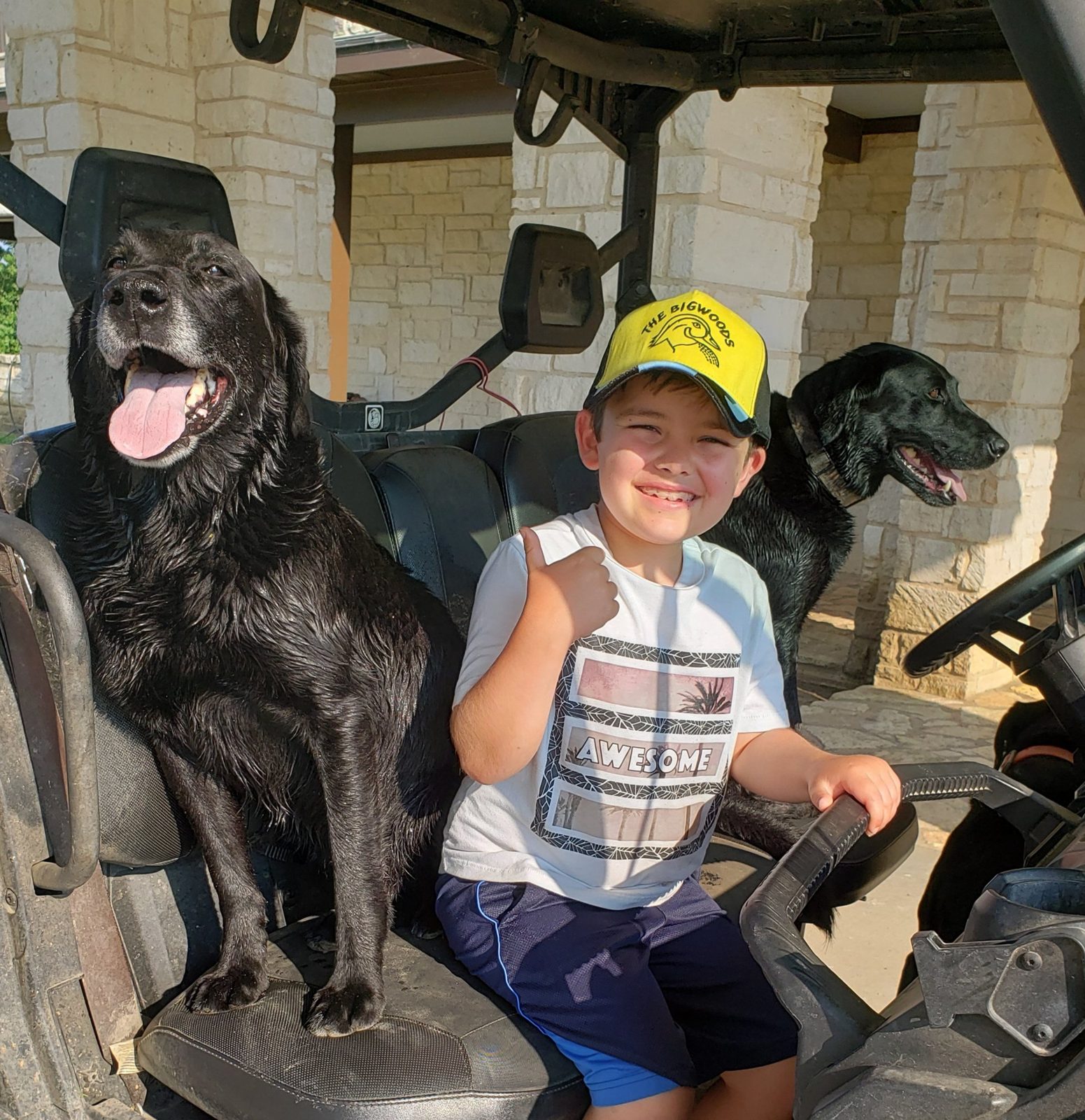Four-Legged Company