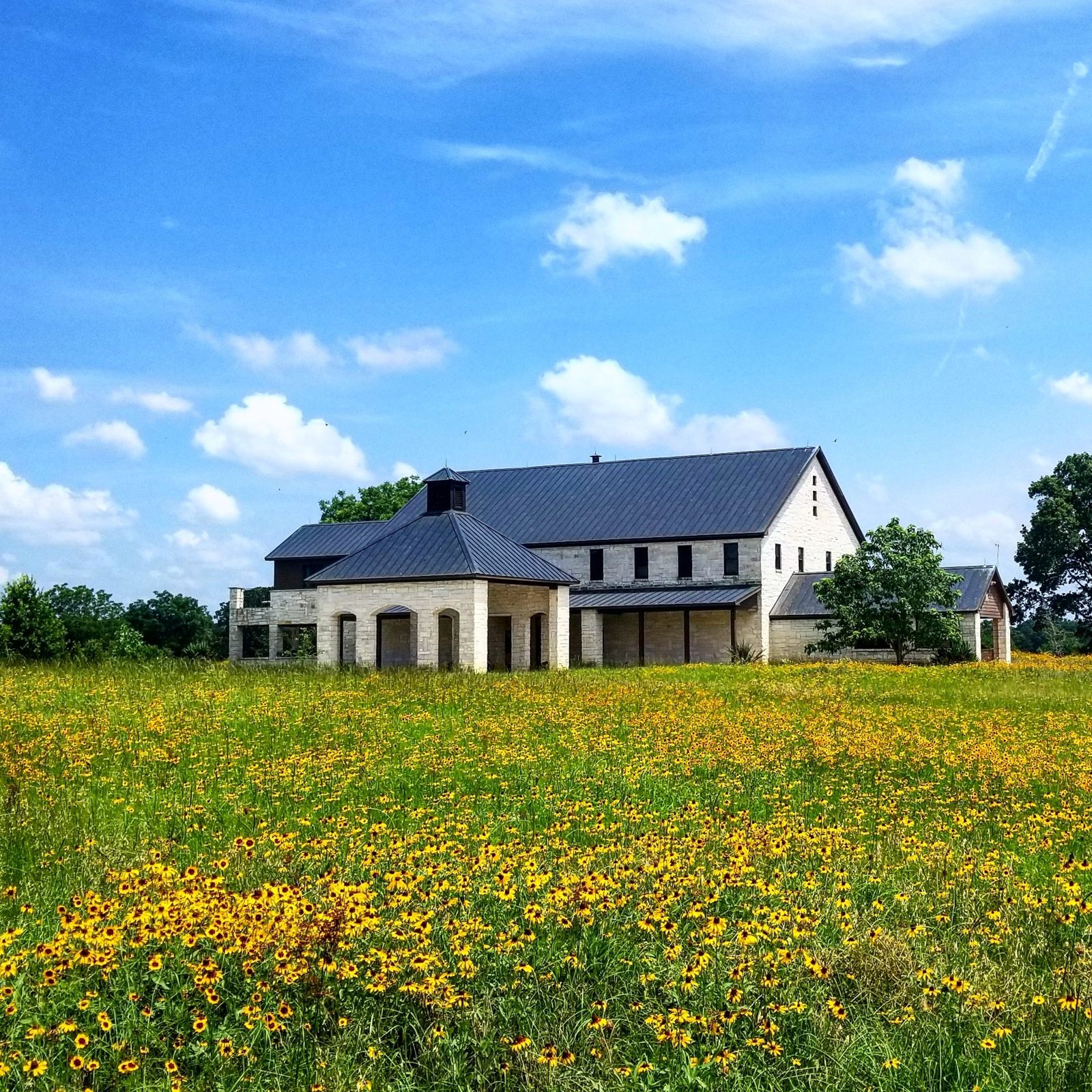 The lodge surrounded by Texas wildflowers